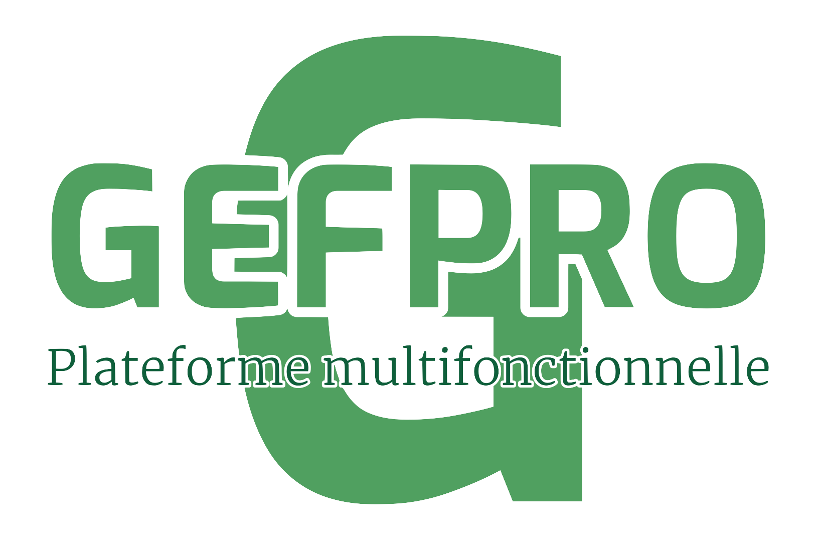 Logo de GEFPro